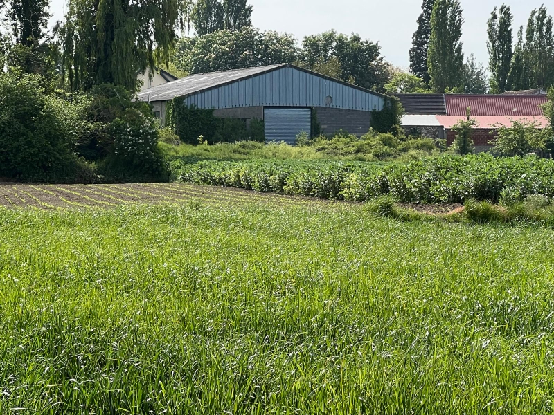 Entrepôt / local industriel Arnouville-lès-mantes 350 m2